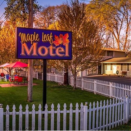 Maple Leaf Motel Shady Cove Esterno foto